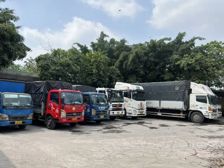Cách chọn đơn vị vận tải uy tín